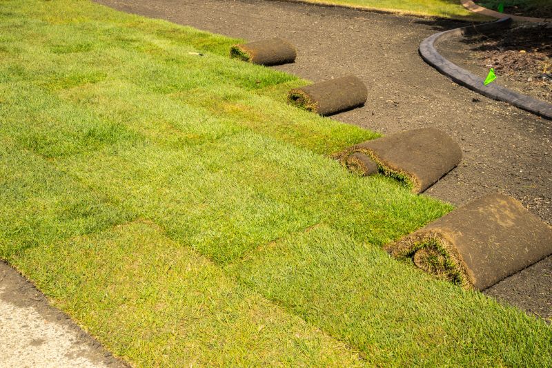Bentgrass Sod Installation in Ventura County, CA