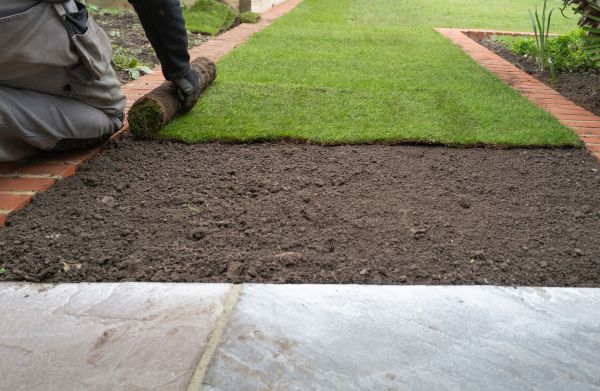 Sod Laying Service