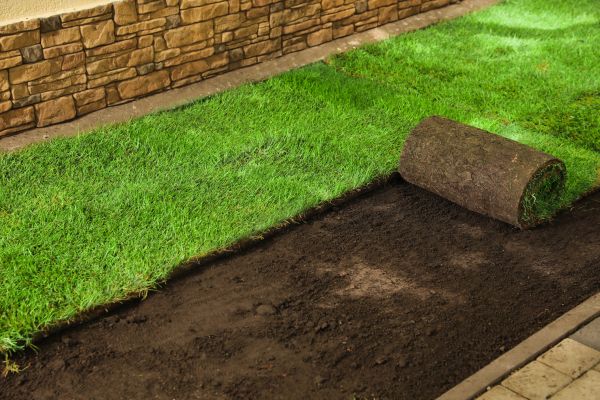 Grass Replacement