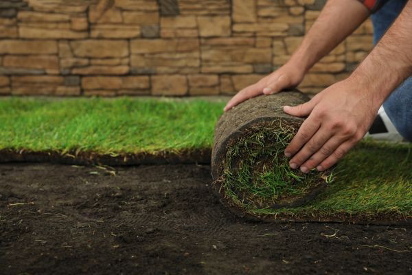 Grass Laying