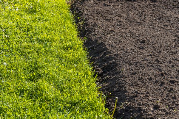 Kentucky Bluegrass Delivery