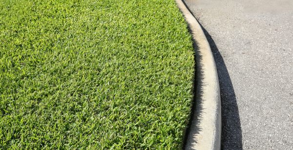 St Augustine Grass Service