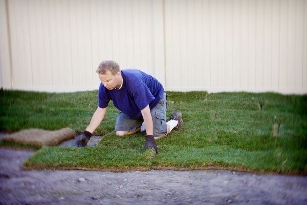 Sod Patching