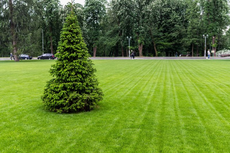 Turfing Service