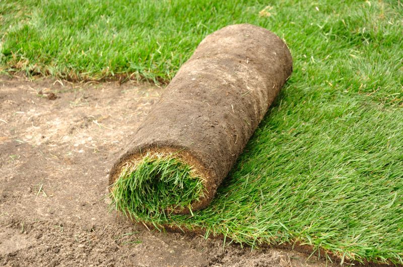 Bahia Sod Installation in Rockwall, TX