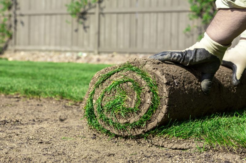 Fescue Sod Installation in Ventura County, CA