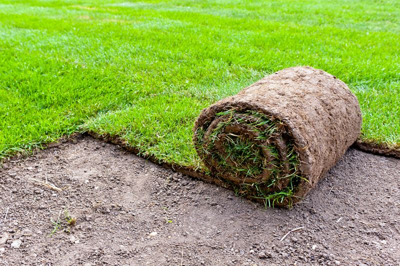 Fescue Sod Installation in Honolulu, HI