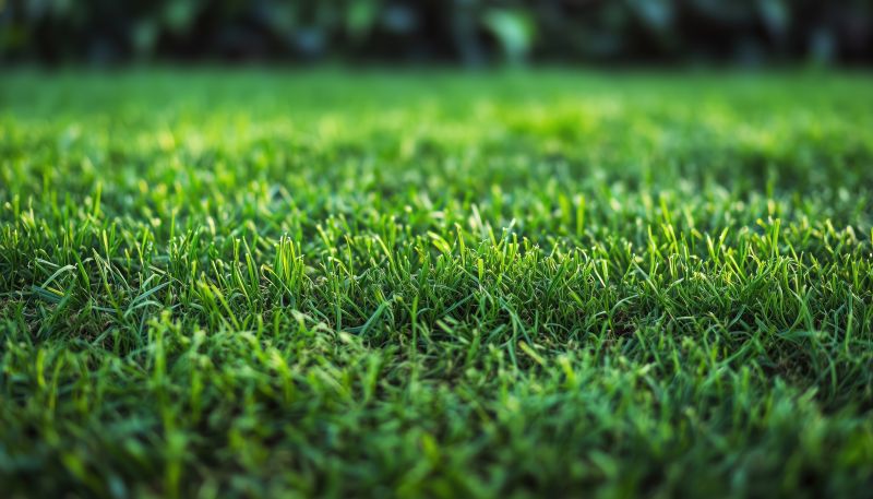 Lawn Sodding in Aiken, SC