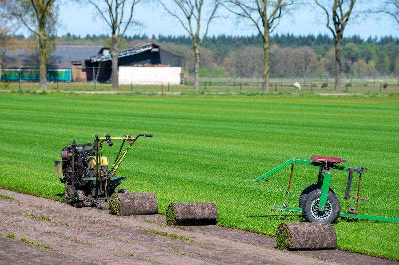 Ryegrass Sod Installation in Ventura County, CA