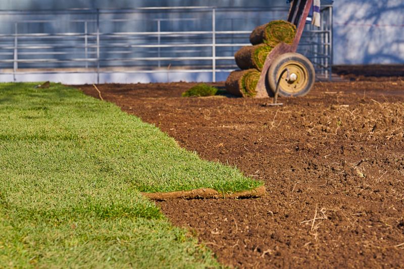 Ryegrass Sod Installation in Ventura County, CA