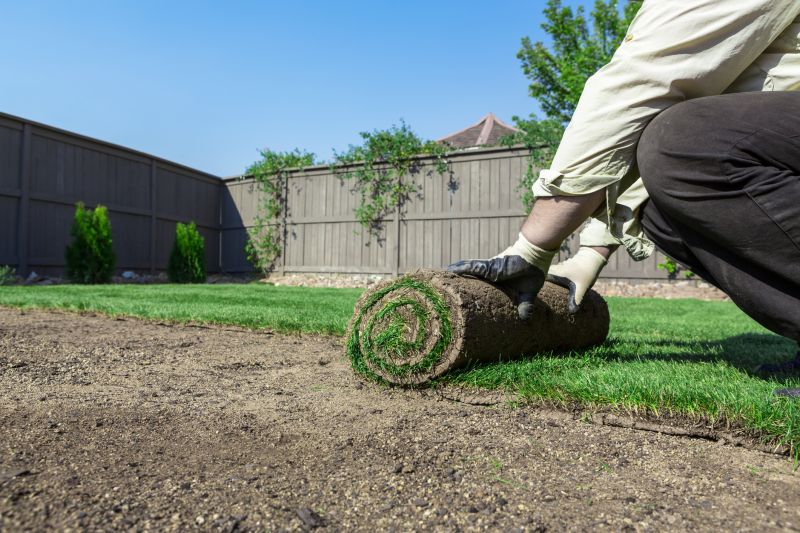 Ryegrass Sod Installation in Honolulu, HI