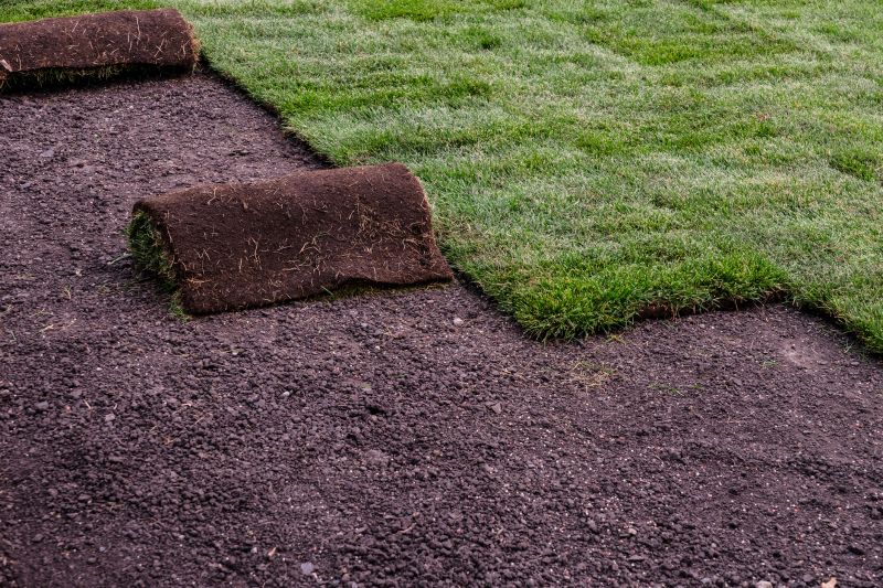 Sod Installation in Ventura County, CA
