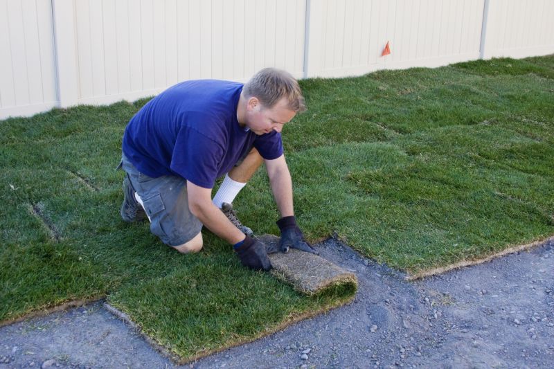Sod Landscaping in Honolulu, HI
