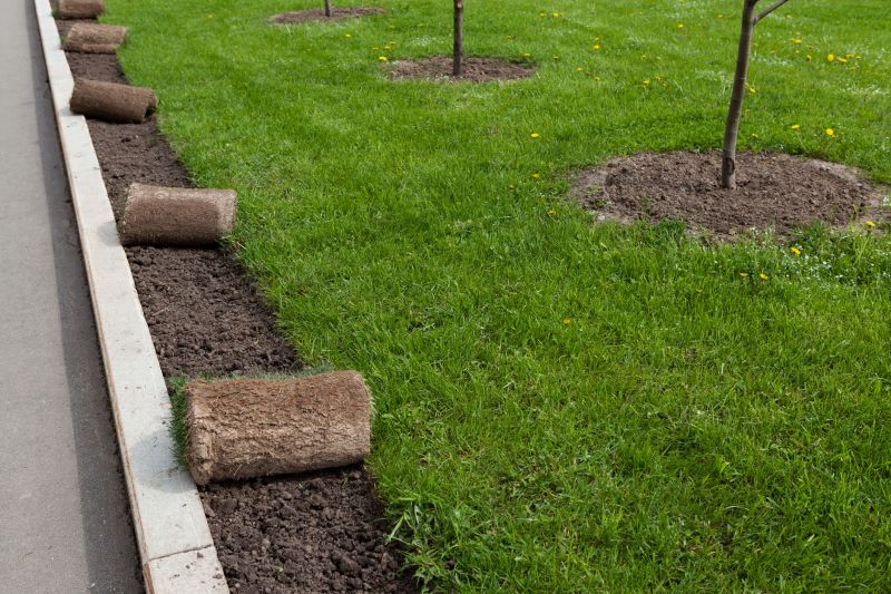 Sod Landscaping in Honolulu, HI