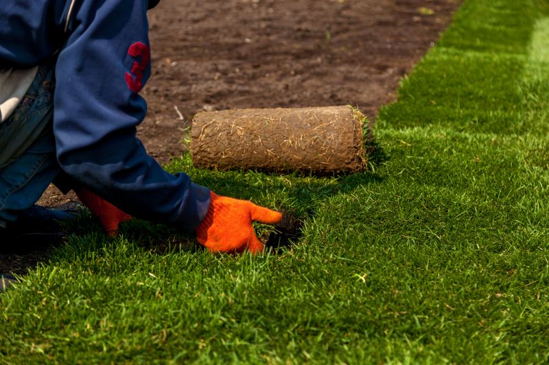 Sod Laying Service in Ventura County, CA