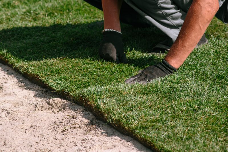 Professional Turf Installation