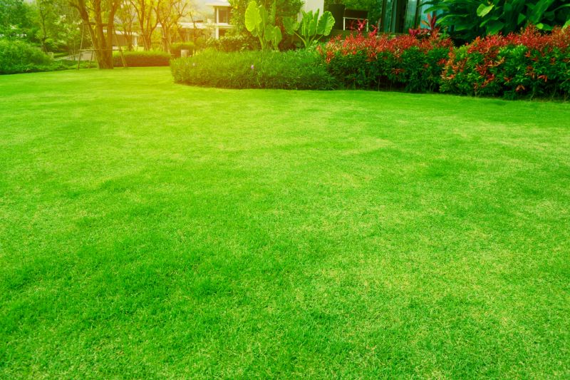 Lawn After Turfing