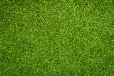 Lush Green Turf Installation
