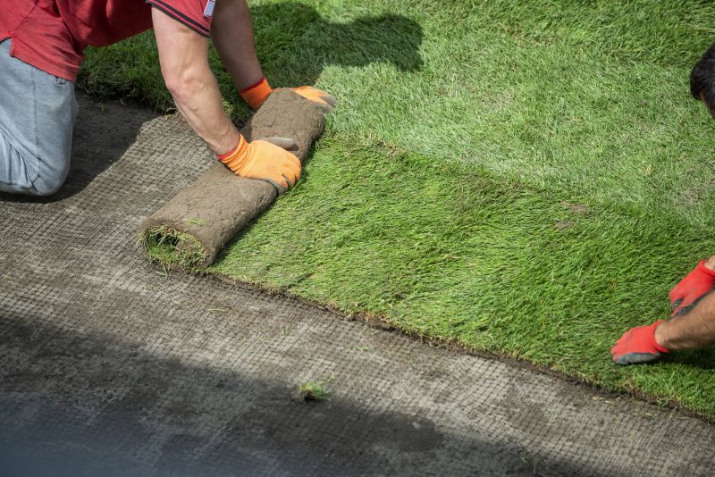 Turfing Service