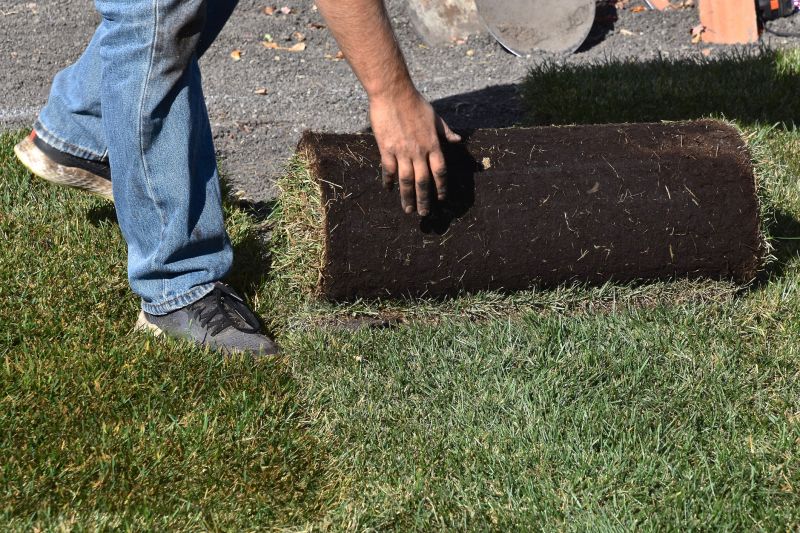 Yard Sodding in Ventura County, CA